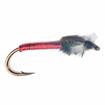 chironomid red wire